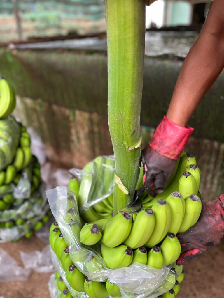 z7159335646112_410c548727b33ef85272e7be0a4c77d5