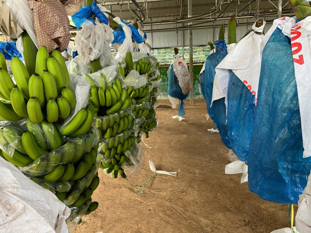 z7159335824479_802e6531b0a60af02047c324ab44117e