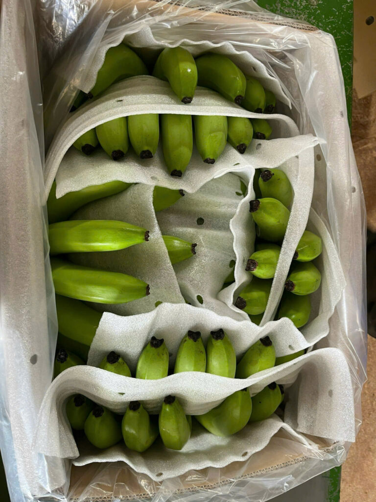 The Current Banana Market